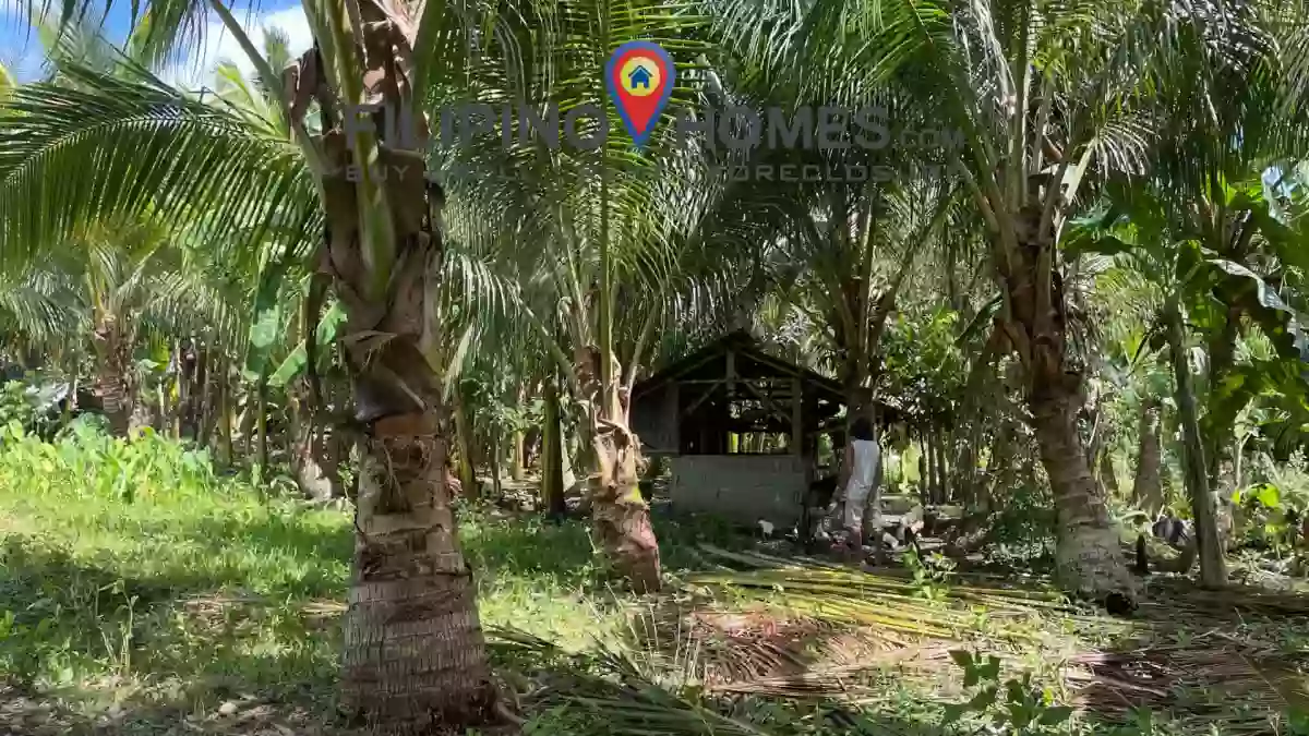 ALONG THE HIGHWAY PRIME LOT — Agricultural Lot in Kapayawi, Libungan, Cotabato — Photo 4