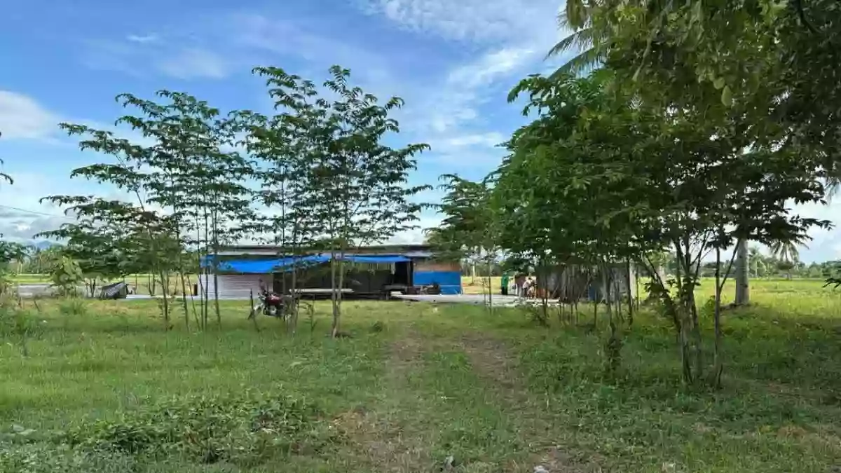 For Sale: 10000 sqm Commercial Lot in Katangawan, Gen. Santos City — Commercial Lot in Katangawan, Gen. Santos City, South Cotabato — Photo 4