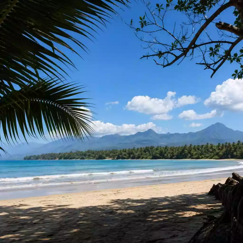 For Sale: Beach Lot in Napsan, Puerto Princesa City — 12628 sqm — Beach Lot in Puerto Princesa City, Palawan, 5300 — Photo 6