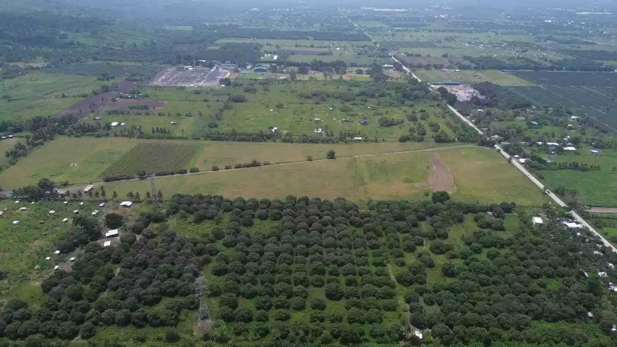 For Sale: Agricultural Lot in Cannery Site, Polomolok — 150000 sqm — Agricultural Lot in Polomolok, South Cotabato, 9504 — Photo 4