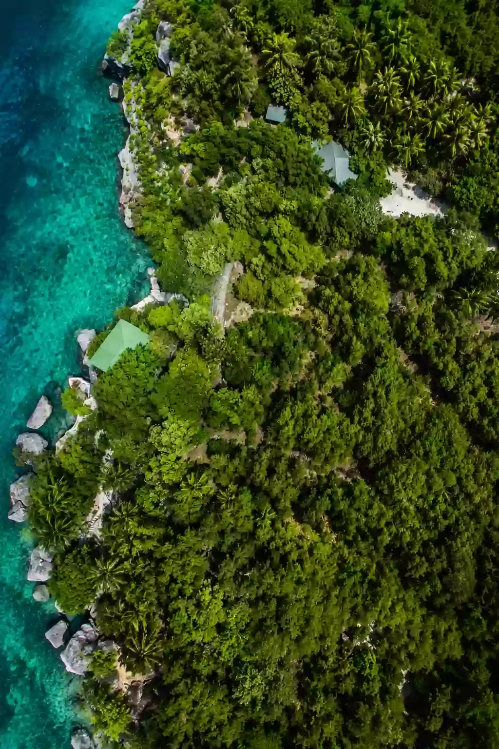 For Sale: Beach Lot in Salag, Tabogon, Cebu — 10 Hectar — Beach Lot in Salag, Tabogon, Cebu — Photo 3