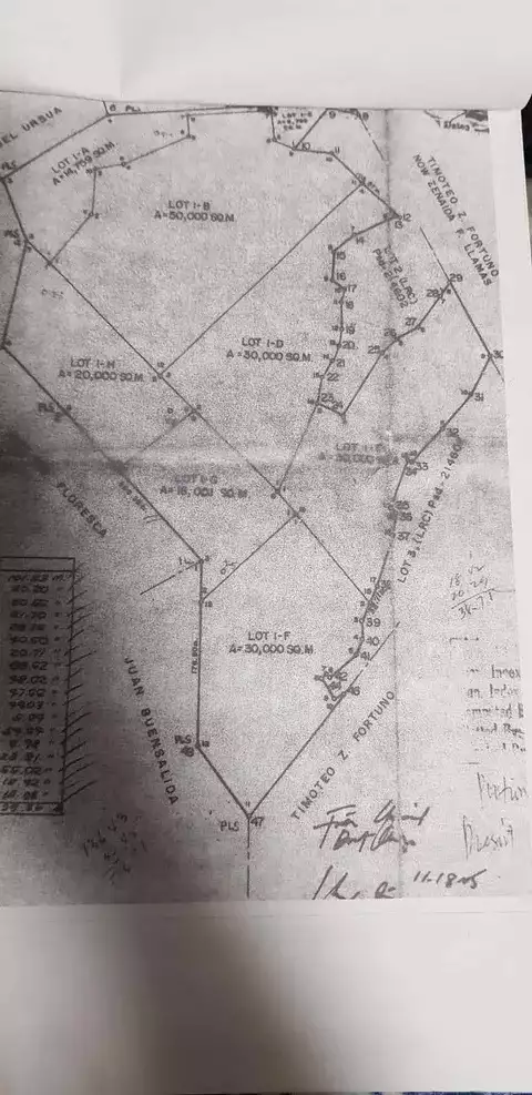 For Sale: Residential Lot in Aslong, Libmanan, 106000 sqm — Residential Lot in Libmanan, Camarines Sur, 4407 — Photo 5
