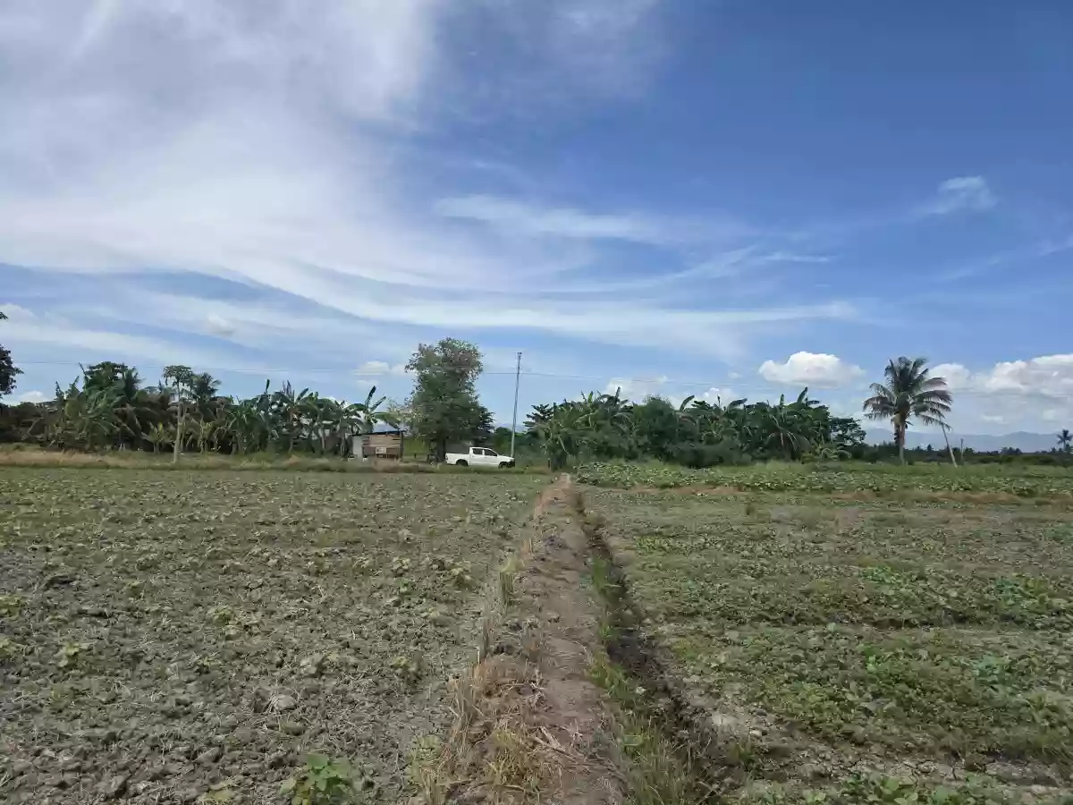 Two  Adjacent Residential Lots of 1,198sqm each for Sale — Residential Lot in General Santos City, South Cotabato, 9500 — Photo 4