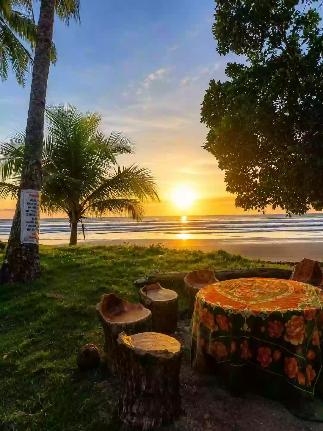 For Sale Beach Lot in Aporawan, Aborlan — 659 sqm — Beach Lot in Aborlan, Palawan, 5302 — Photo 6