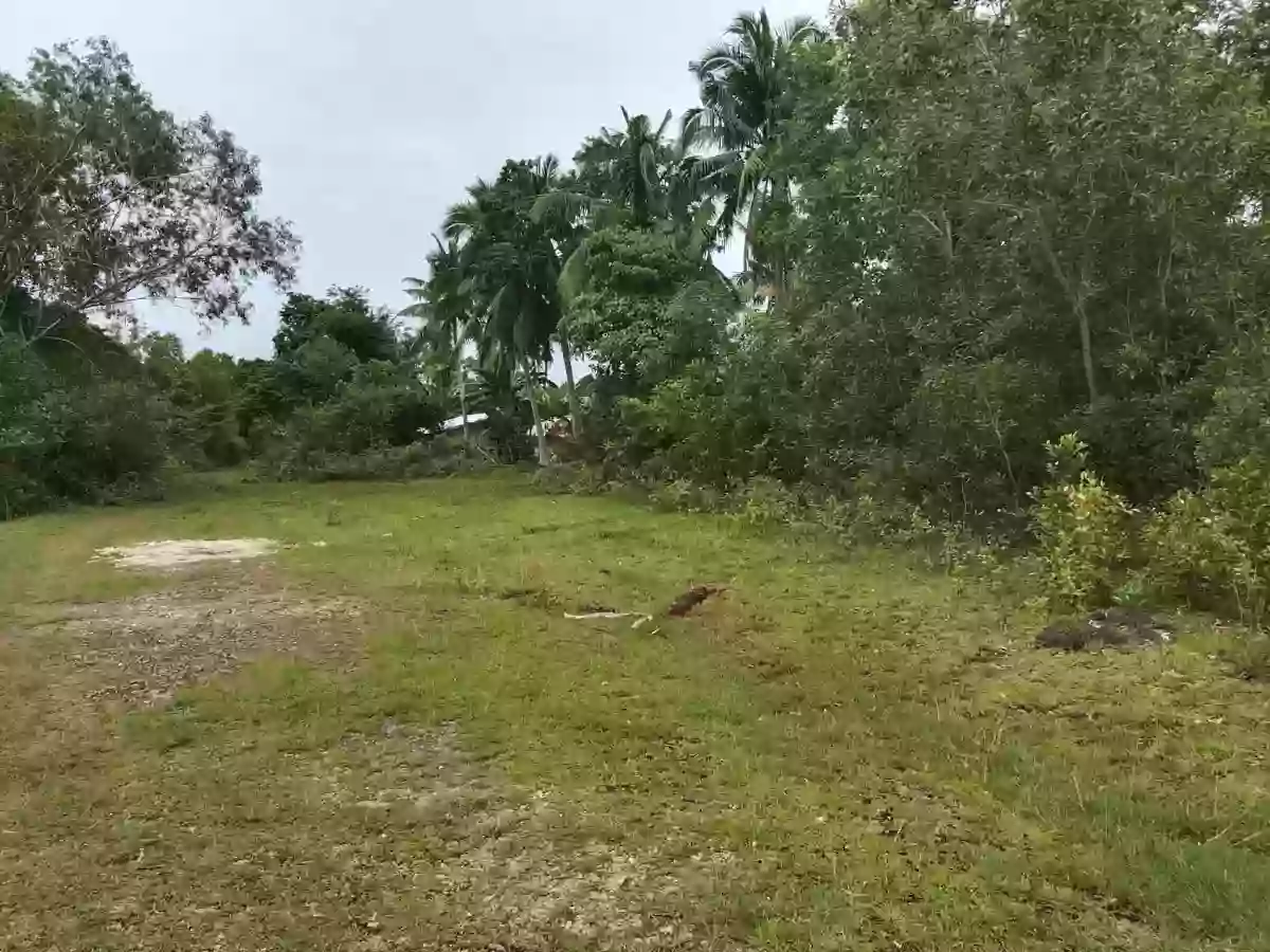 For Sale: Residential Lot in Tawala, Panglao — 200 sqm — Residential Lot in Panglao, Bohol, 6340 — Photo 7