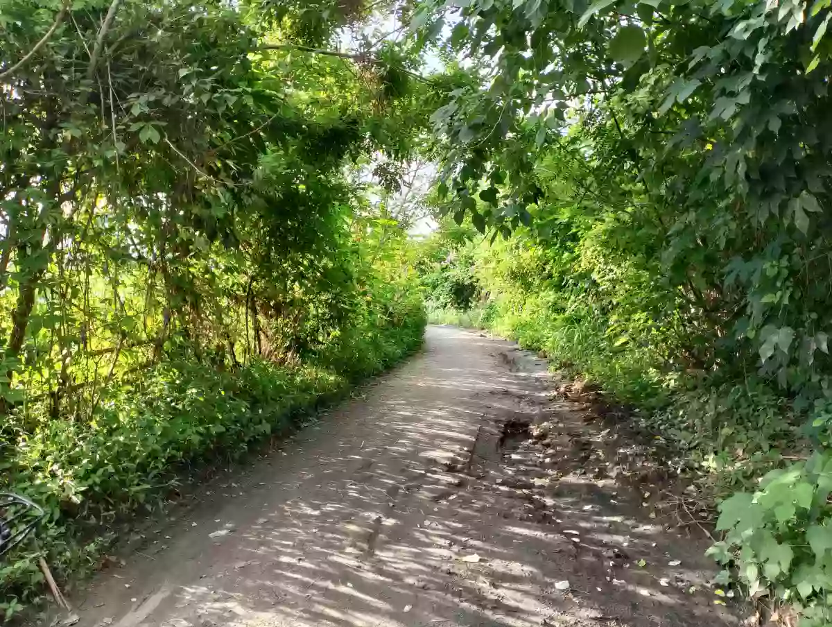 For Sale: 10400 sqm Agricultural Lot in Rubber, Polomolok — Agricultural Lot in Polomolok, South Cotabato, 9504 — Photo 5