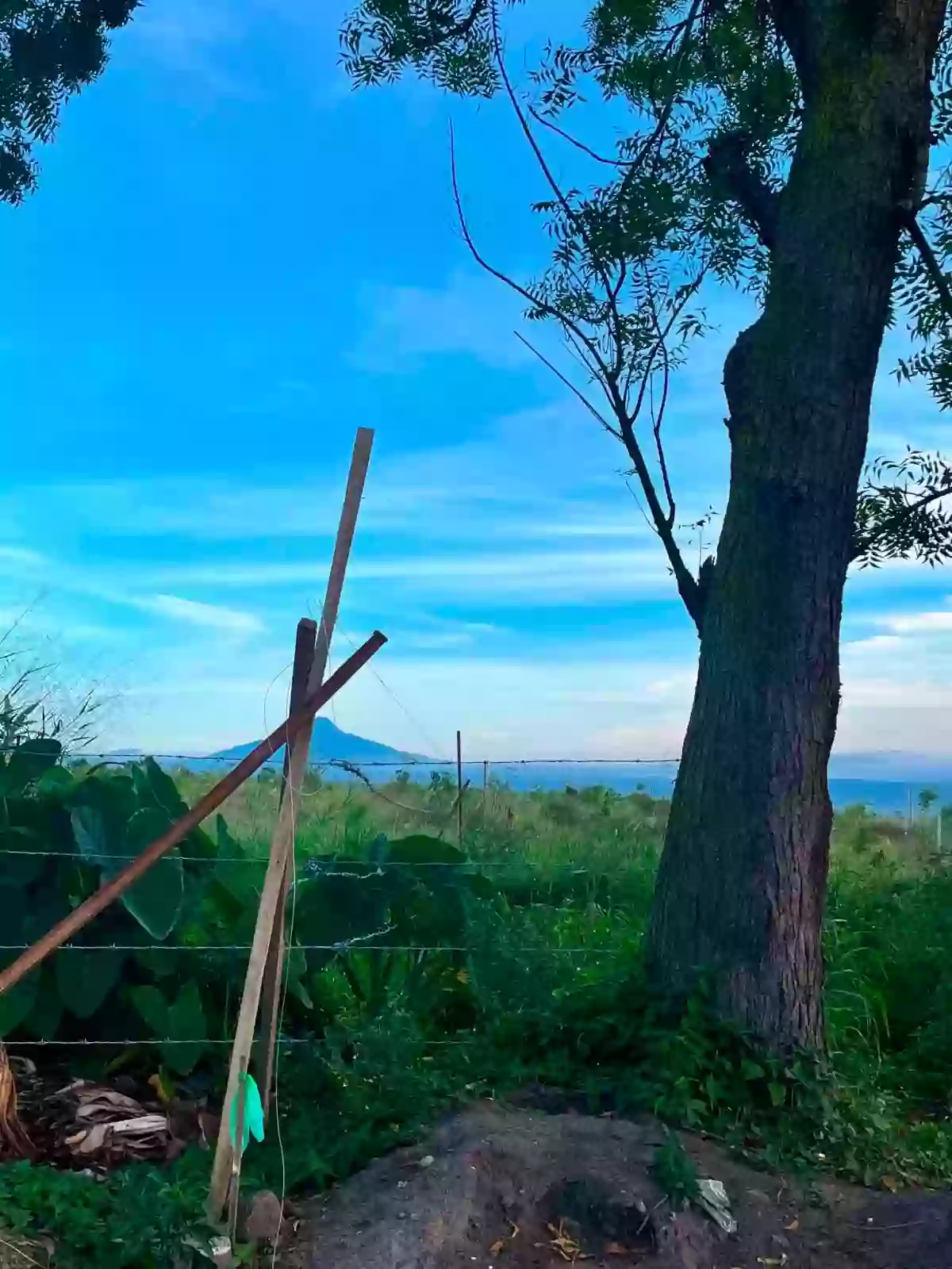 For Sale: Residential Lot in San Jose, General Santos City — 1500 sqm — Residential Lot in General Santos City, South Cotabato, 9500 — Photo 3