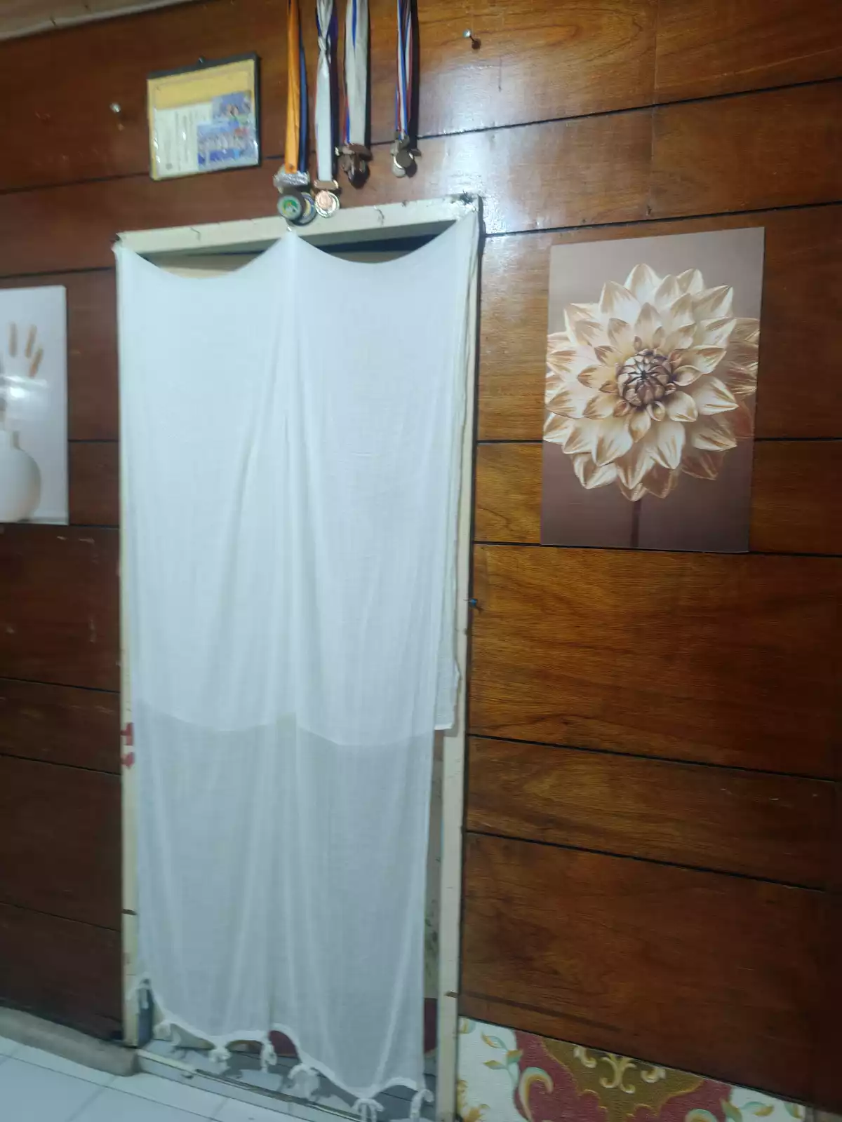 Photos 5
