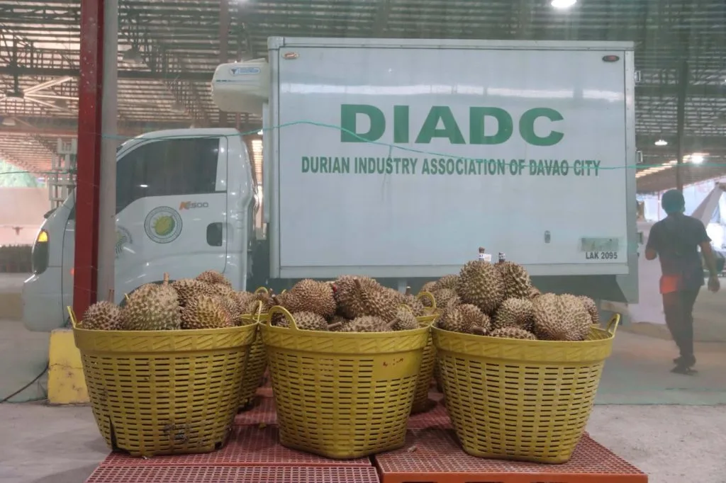 Davao Durian Breaks into Middle East with First Oman Shipment