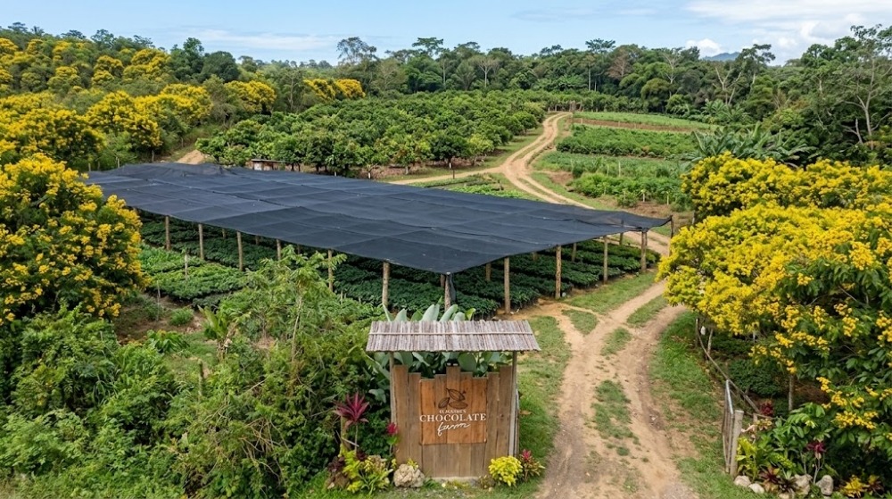 Culinary Tourism and Farm Experience