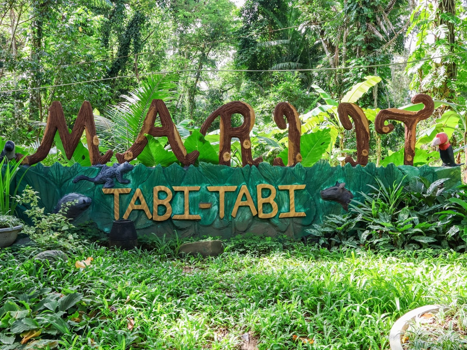Mari‑it Wildlife Conservation & Eco Park: Iloilo’s 1,000‑Hectare Sanctuary Where Endangered Visayan Species Roam Free
