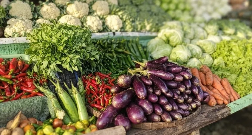 Ozamiz Gives Local Farmers a New Place to Sell as Agri-Fair Brings Farm Products Closer to Consumers