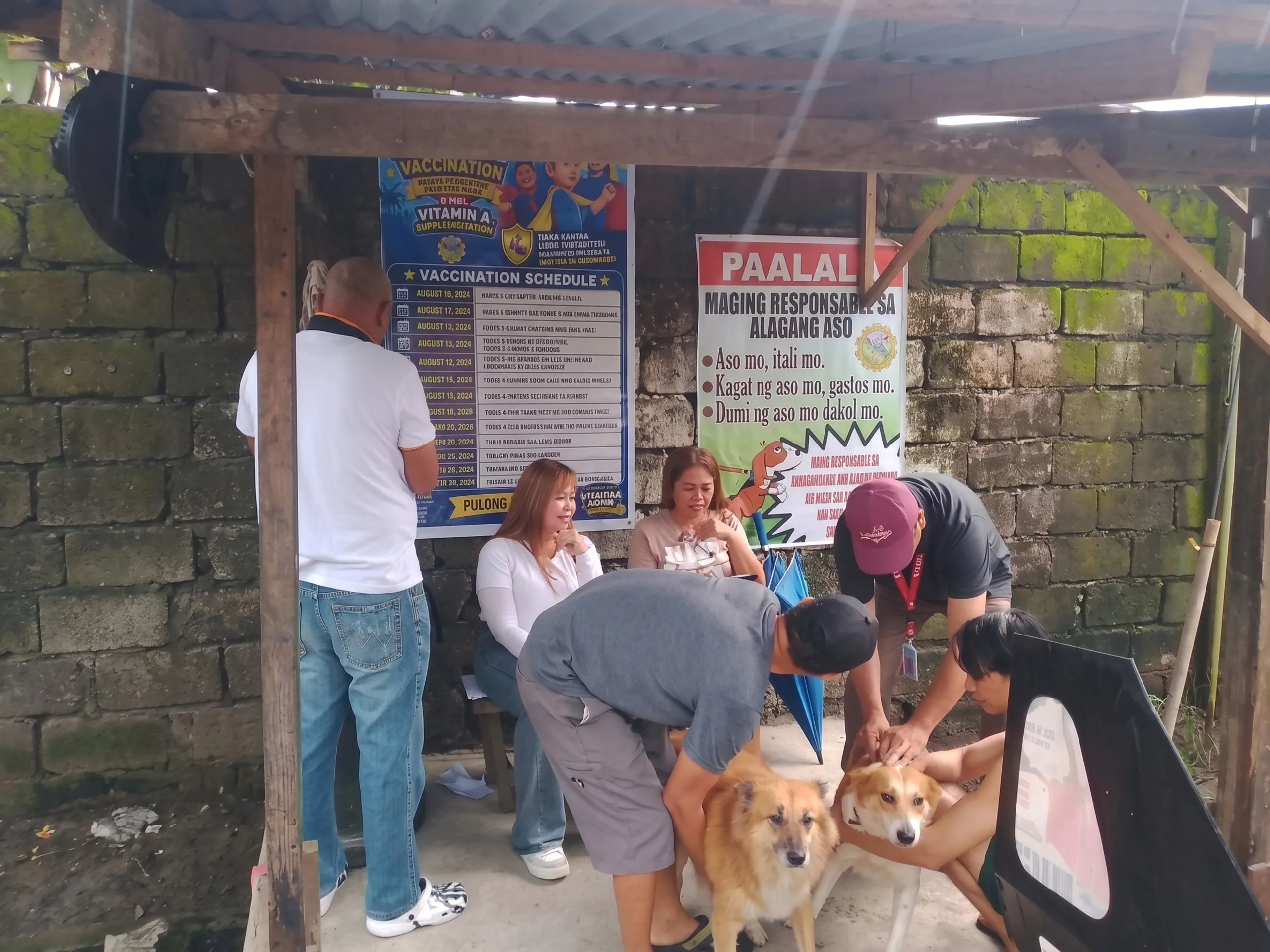 Save Your Furry Friends! Free Anti-Rabies Vaccination Drive Hits Barangay Pulung Maragul