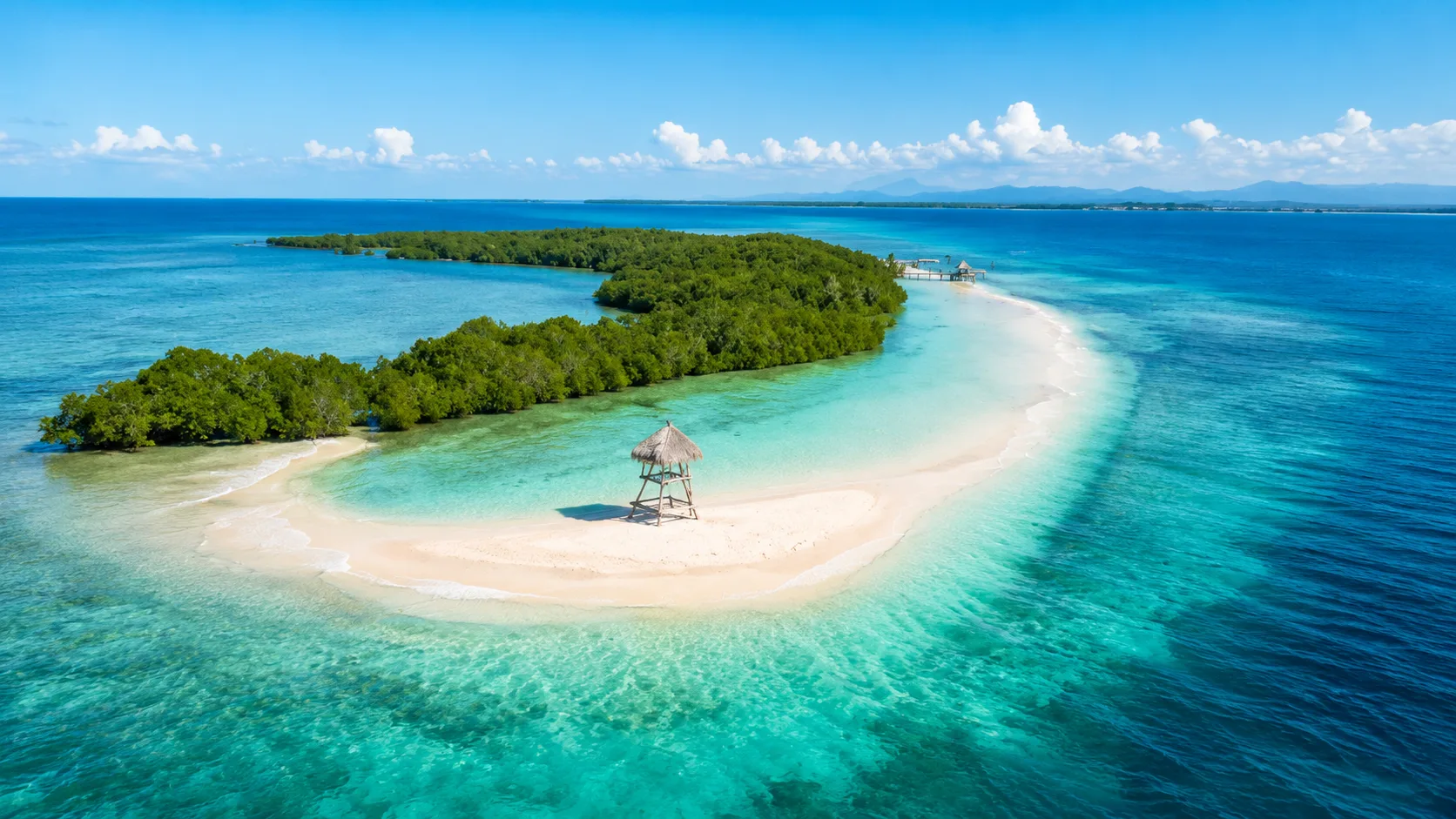 Lessons in Green: How Costa Rica Inspires Palawan’s Forest Future
