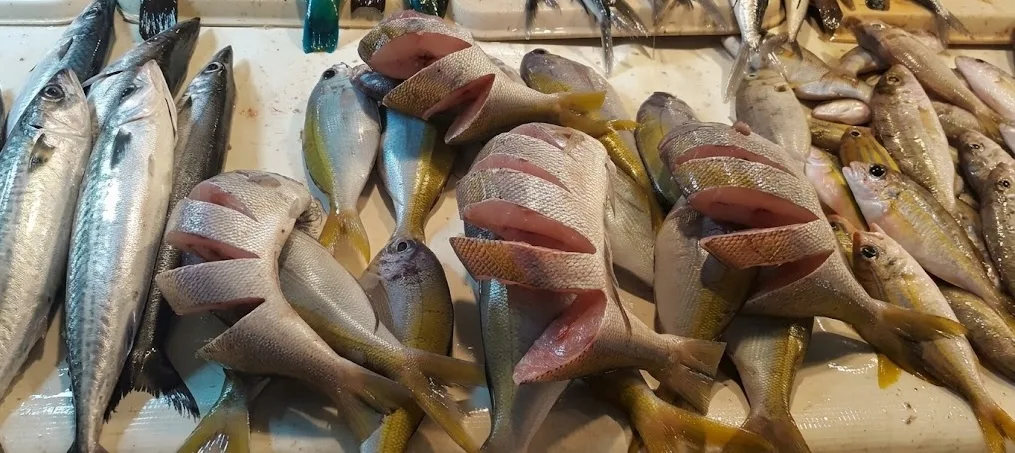 Why Fresh Seafood Dining Continues to Define General Santos City’s Food Scene