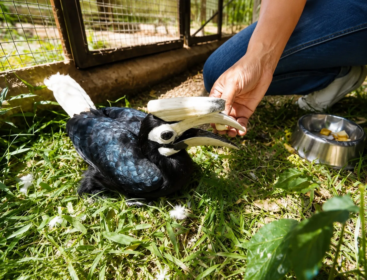 Global Recognition: Philippines Honored for Robust Wildlife Protection Laws