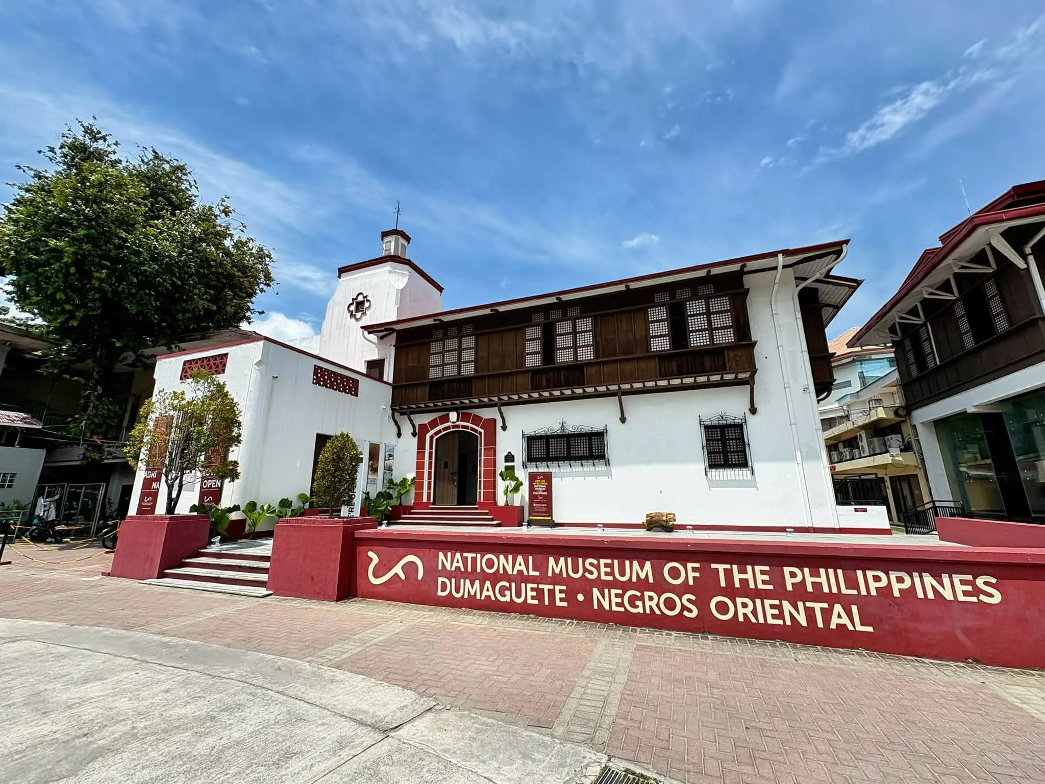 Dumaguete’s Natural Heritage: Discovering Native Trees Around the National Museum