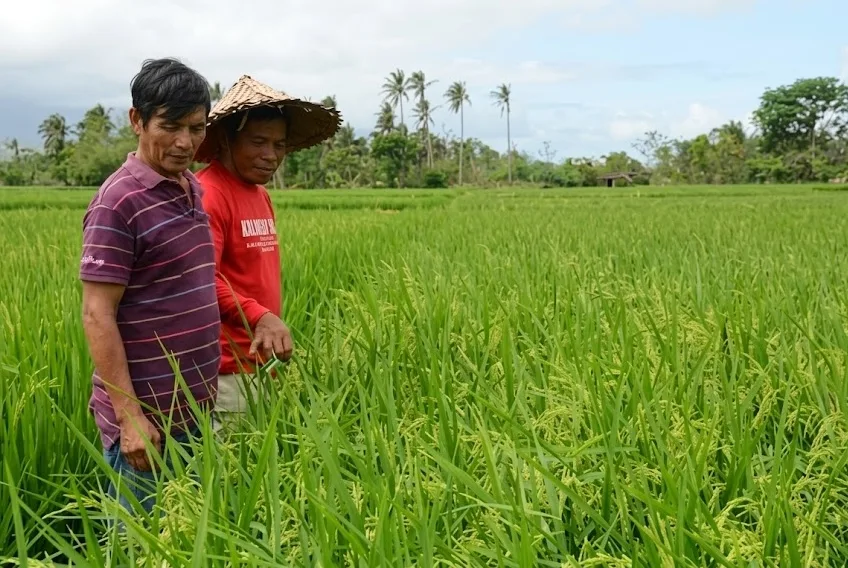 Why General Santos City's Farm Aid Review Could Make Agricultural Support More Accessible