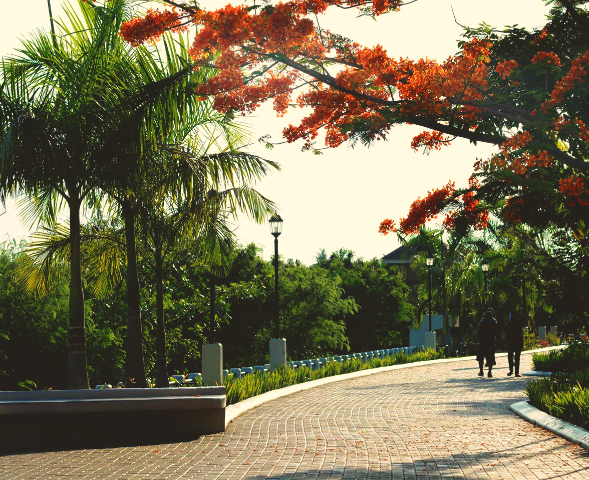 Walk Through Asia's Longest Linear Park in Iloilo City