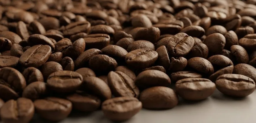 Coffee beans freshly roasted to be grounded for coffee.