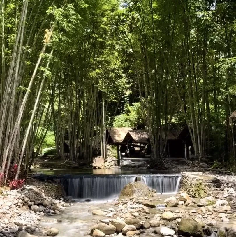 Discover the Hidden Icy Springs of Silarmo Bamboo Nature Park in Maragusan This 2026
