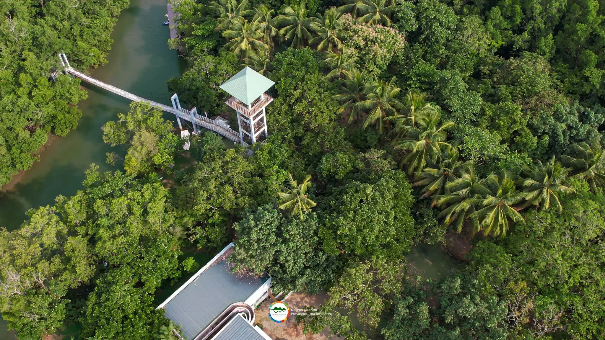 Walk Among the Mangroves: Discover the Scenic Beauty of Katunggan Boardwalk