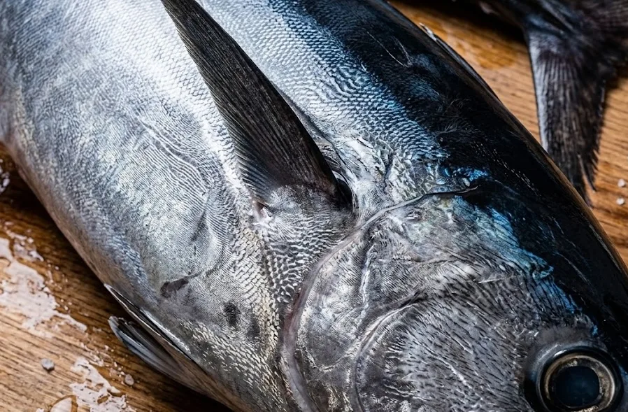 Fish is one of the products to be invested in General Santos City.
