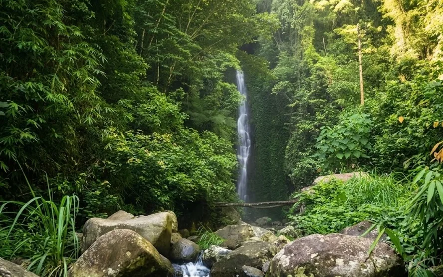 Cobra Falls during the summer which is perfect for hikers and adventure seekers.