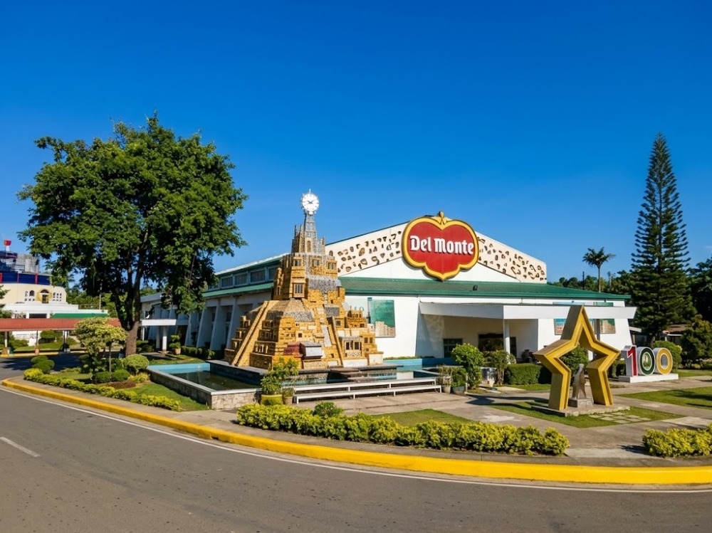 Iconic Giant Pineapple: The Must-Visit Landmark in Bukidnon’s Rolling Hills