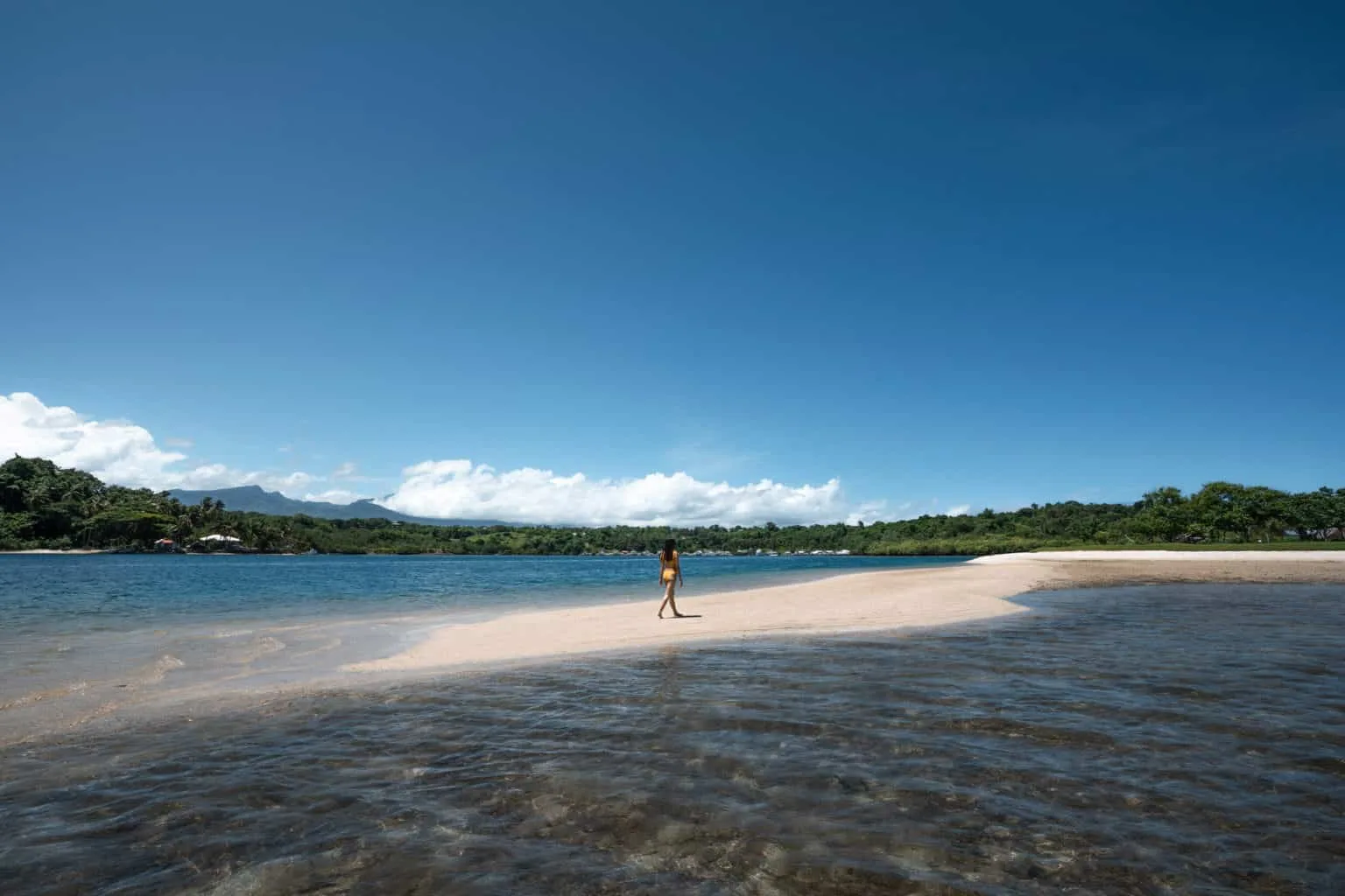 Turtle Island Station and the Promotion of Marine Ecotourism in Dumaguete City