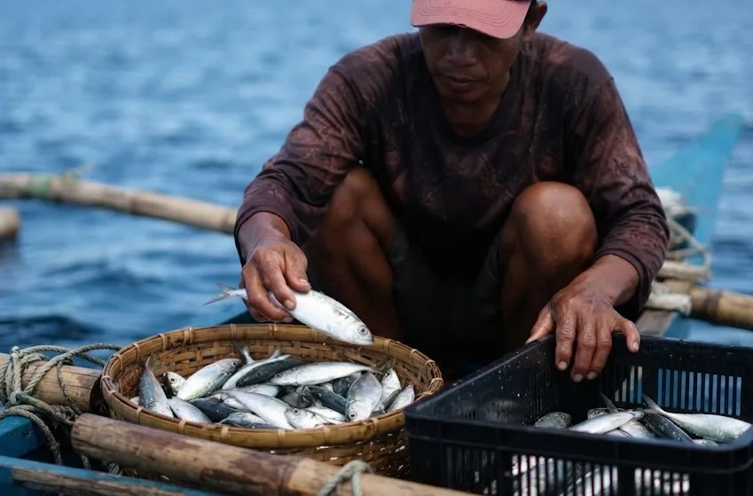 A fisherman with his catch for the day.