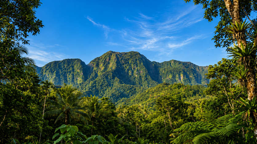 Mount Pangasugan: Leyte’s Majestic Rainforest Sanctuary