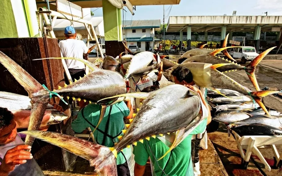 Beyond the Tuna Capital Title: The Everyday Spirit That Defines General Santos City