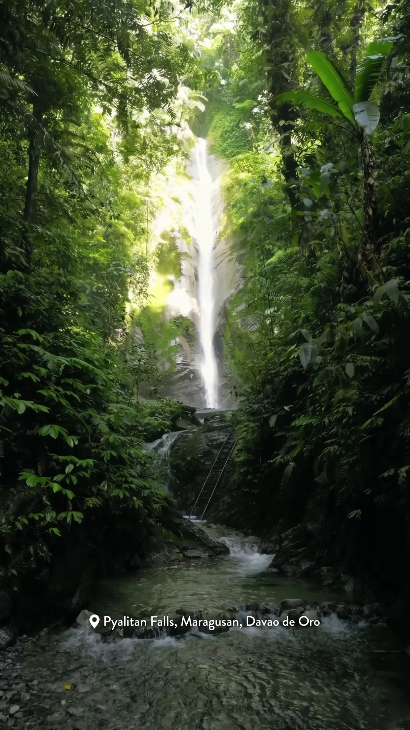 Maragusan's Raw and Radiant Highland Gem: Pyalitan Falls Is an Exciting 2026 Find