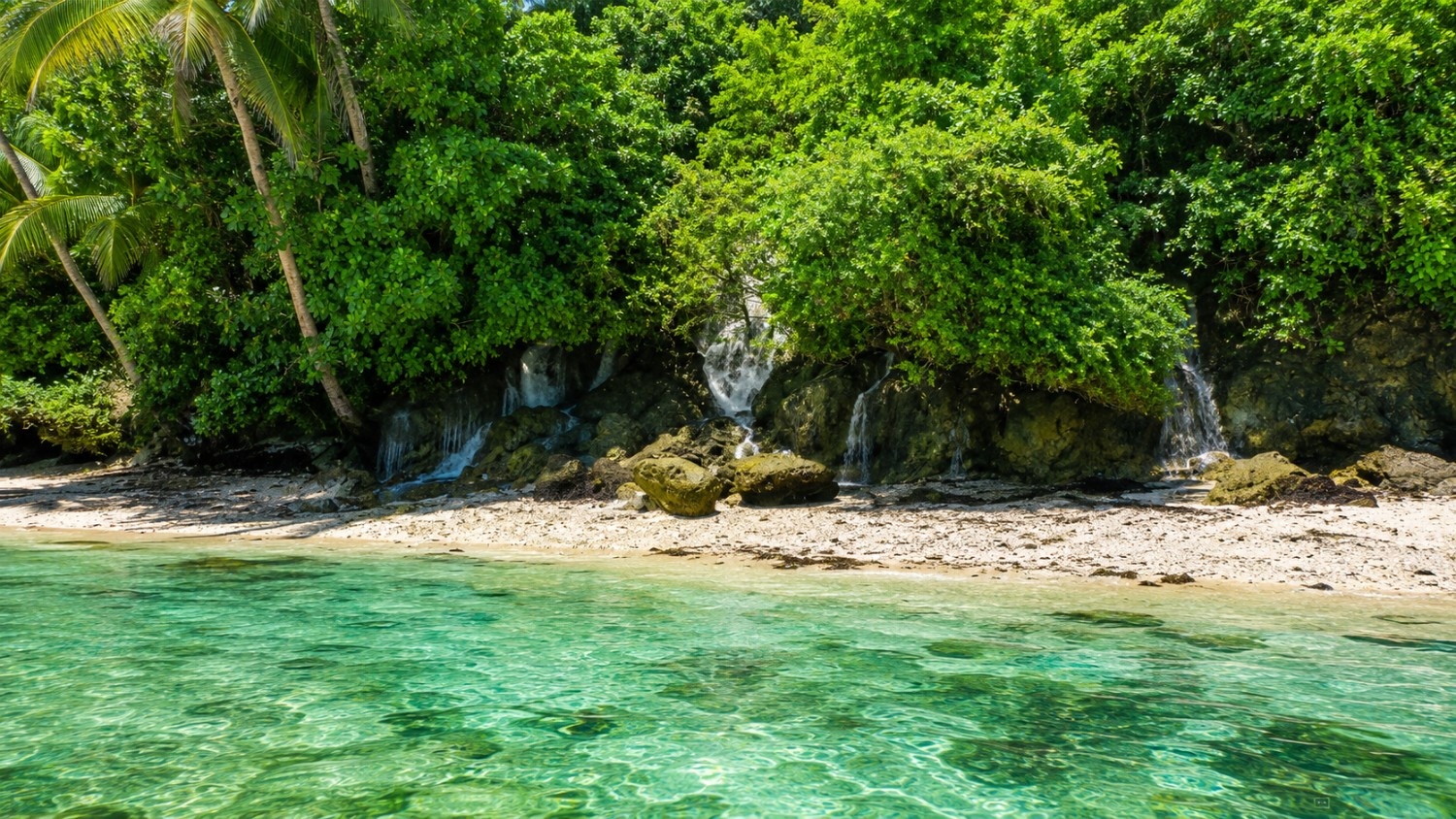 Ecotourism & Raw Nature