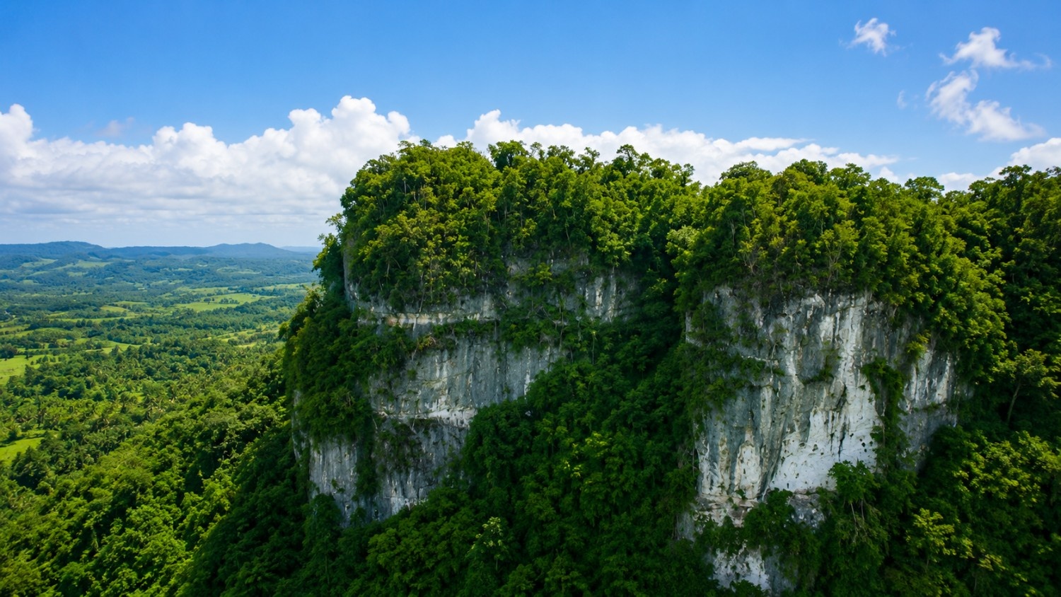 The Cliffside Escape
