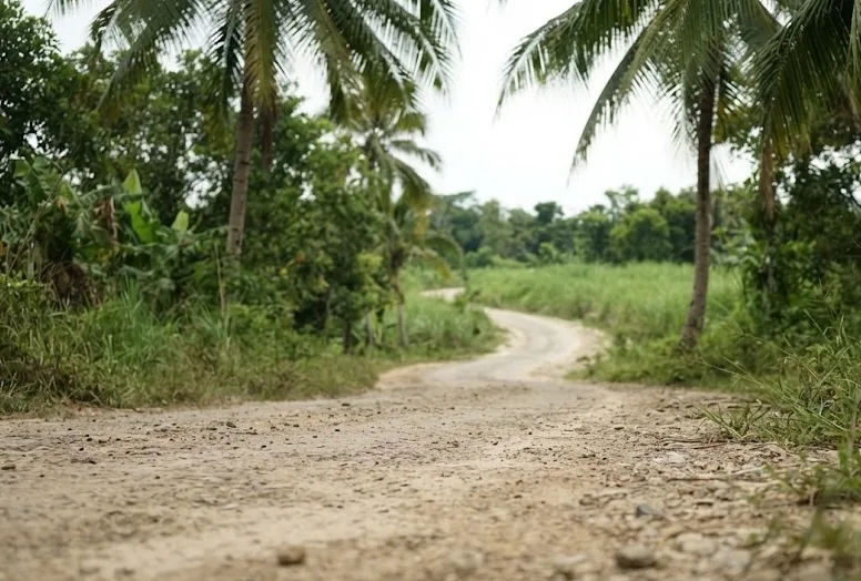 A Million-Worth Farm Road Could Give Ozamiz Farmers a Better Route to Markets