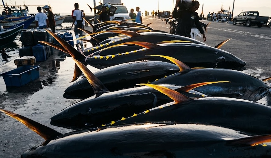 Why Travelers Are Looking Beyond the Fish Port and Into GenSan’s Everyday Stories