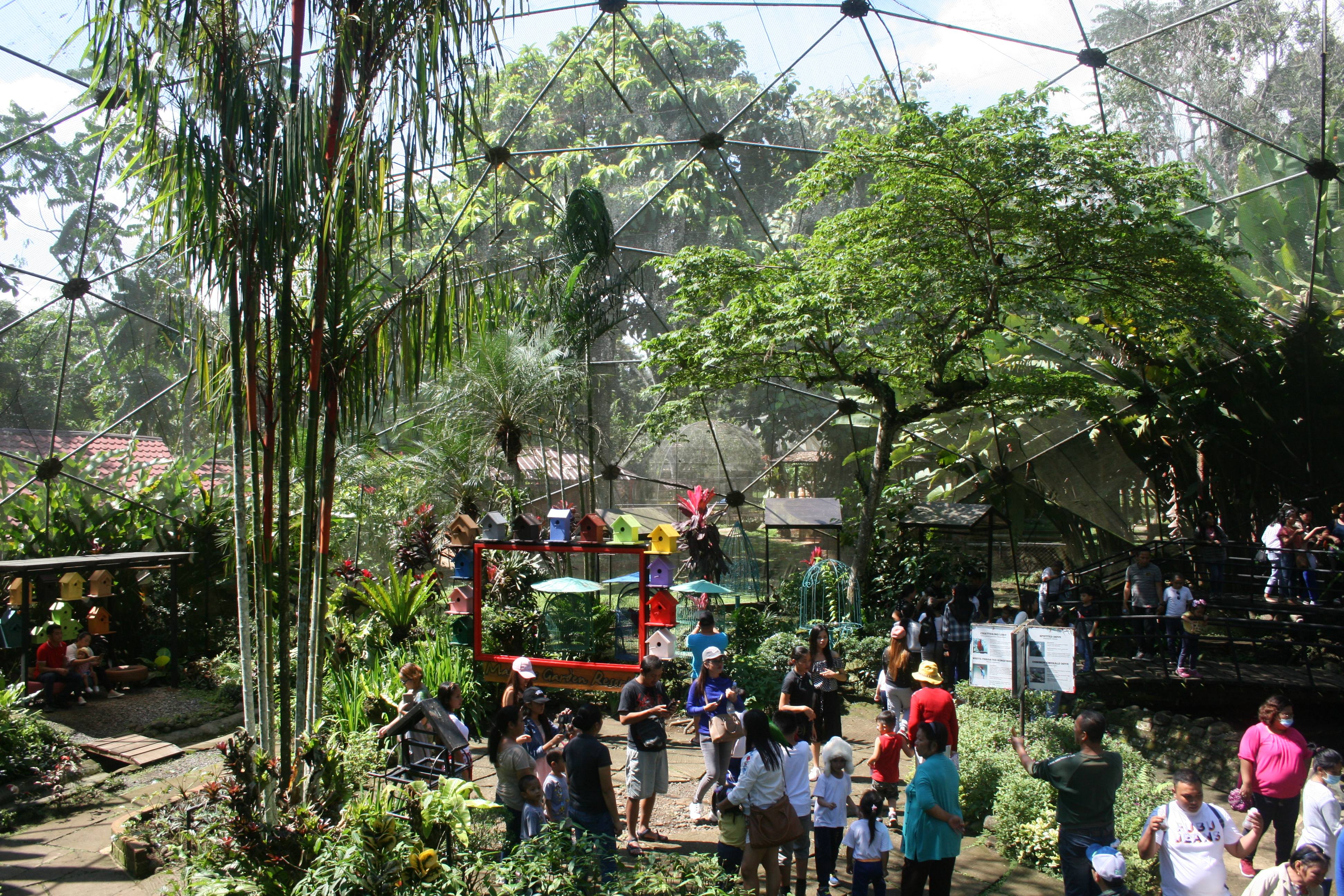 Eat, Stay, Explore: Malagos Garden Resort Blends Farm-to-Table Dining with Wildlife Wonder