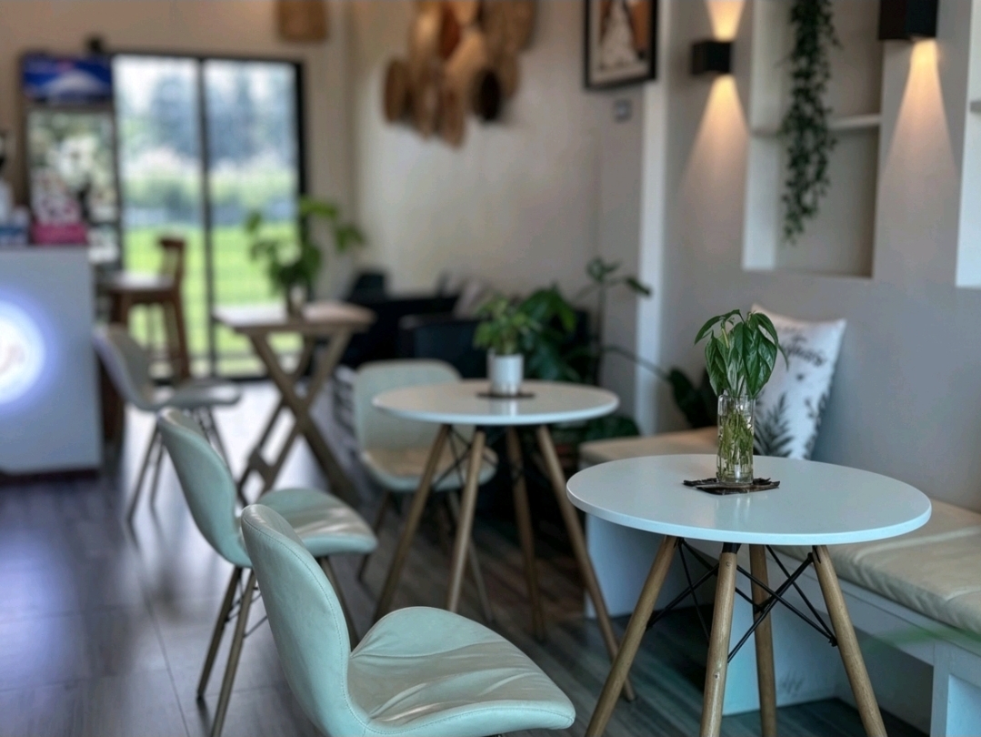 From Coffee Cups to Community Hub: The Growing Impact of 12 D Cafe in Butuan