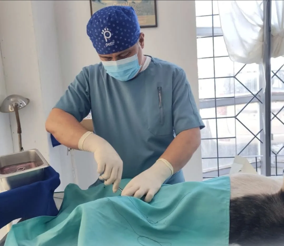 Butuan City Brings Free Veterinary Care Closer to Communities, Benefiting Thousands of Pets