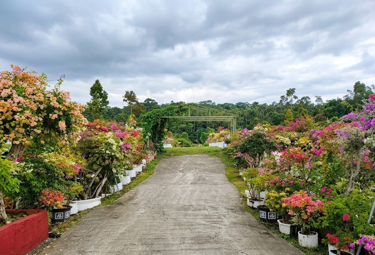 Bloom in the Hills: Discovering the Floral Magic of Alexa Edith Flower Farm