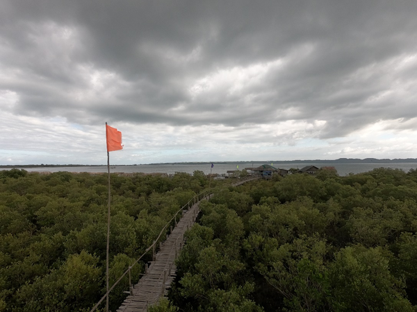Leganes Integrated Katunggan Ecopark (LIKE) Joins Western Visayas Ecotourism Loop in 2026: Mangrove Boardwalk, Watchtower, and 49 Bird Species Await