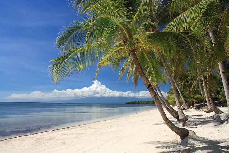 Paliton Beach and the Promotion of Island-Hopping Tourism in Central Visayas