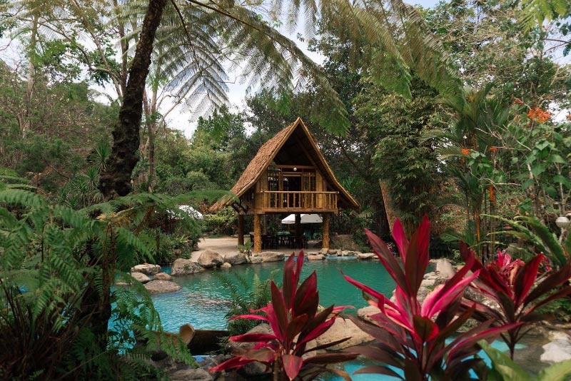 A Nature Escape Above the City: How Forest Camp Enhances Dumaguete’s Eco-Tourism Appeal