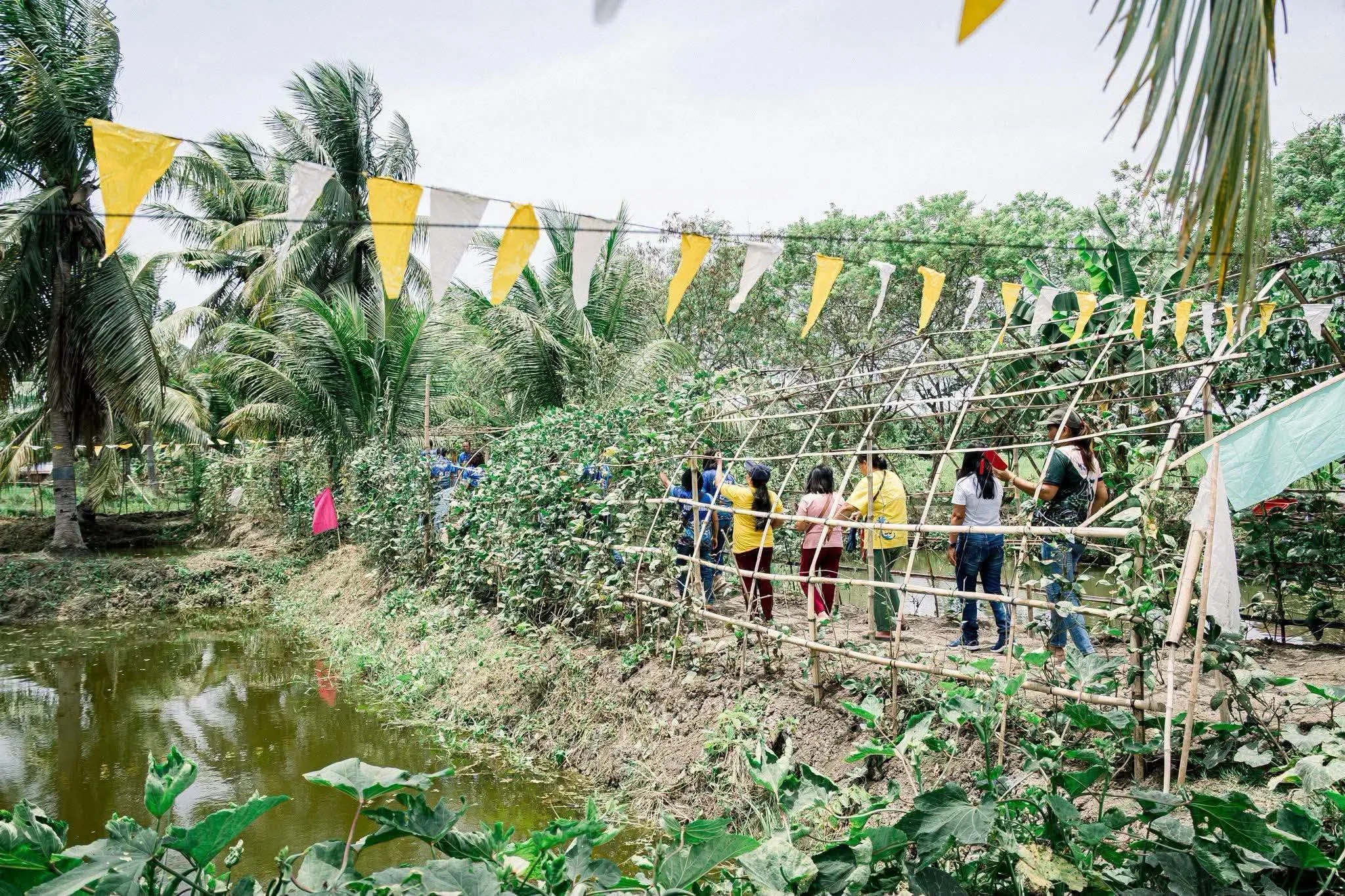 PHOTO COURTESY: DSWD XI - Davao Region (FACEBOOK)