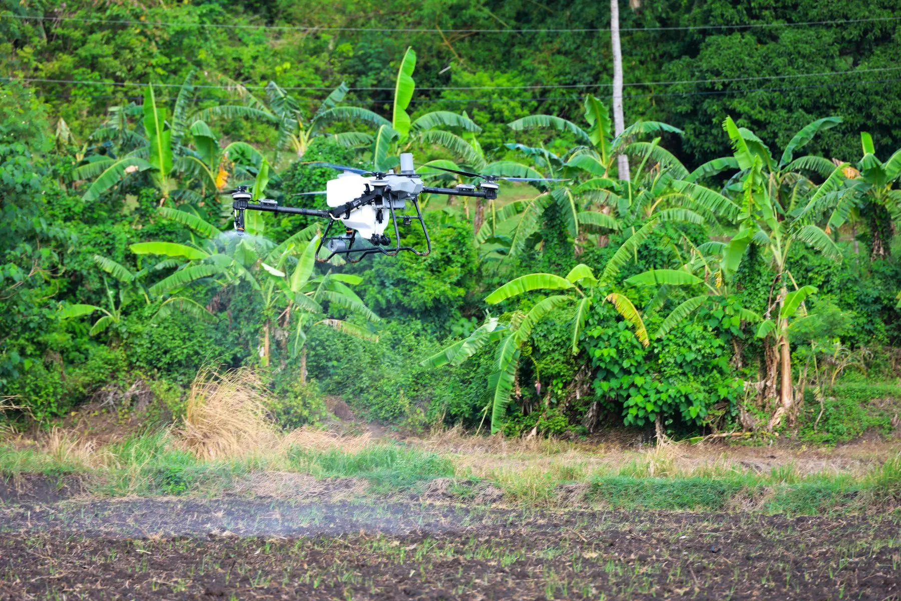 Smarter, Faster, Free: DA Launches Drone Program for 2,000‑Hectare Iloilo Rice Area