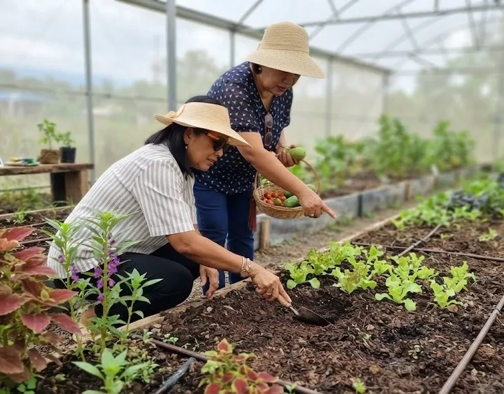 Three Underrated Ozamiz Experiences for Travelers Who Want Something Different