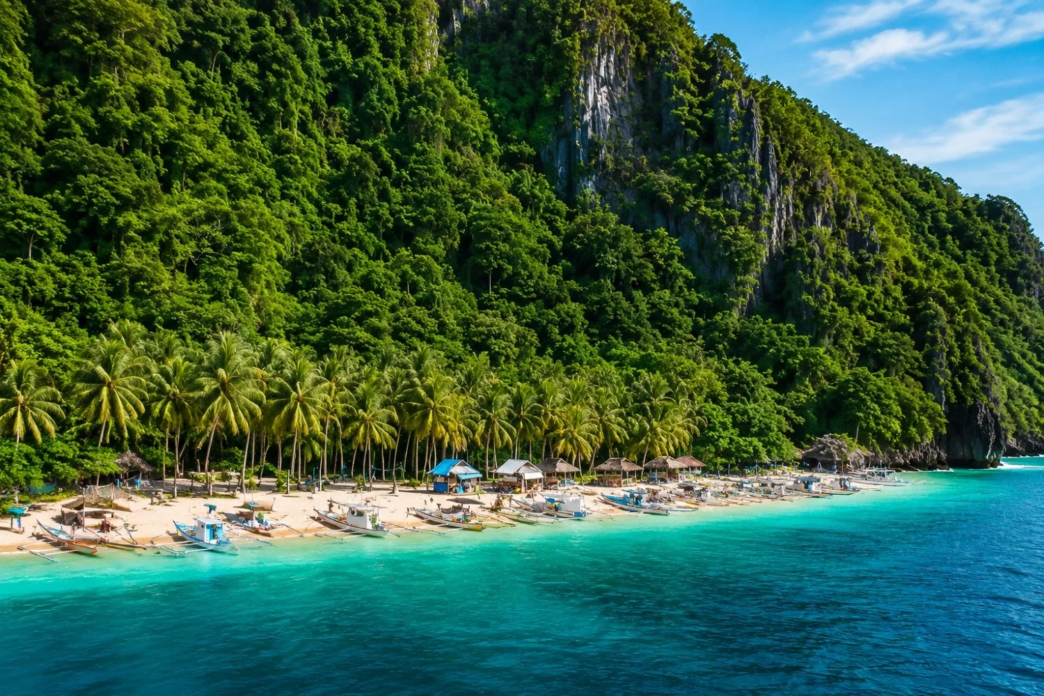 Digital Boost for Palawan: PLDT Partners with Tagbanua Communities for Cable Project