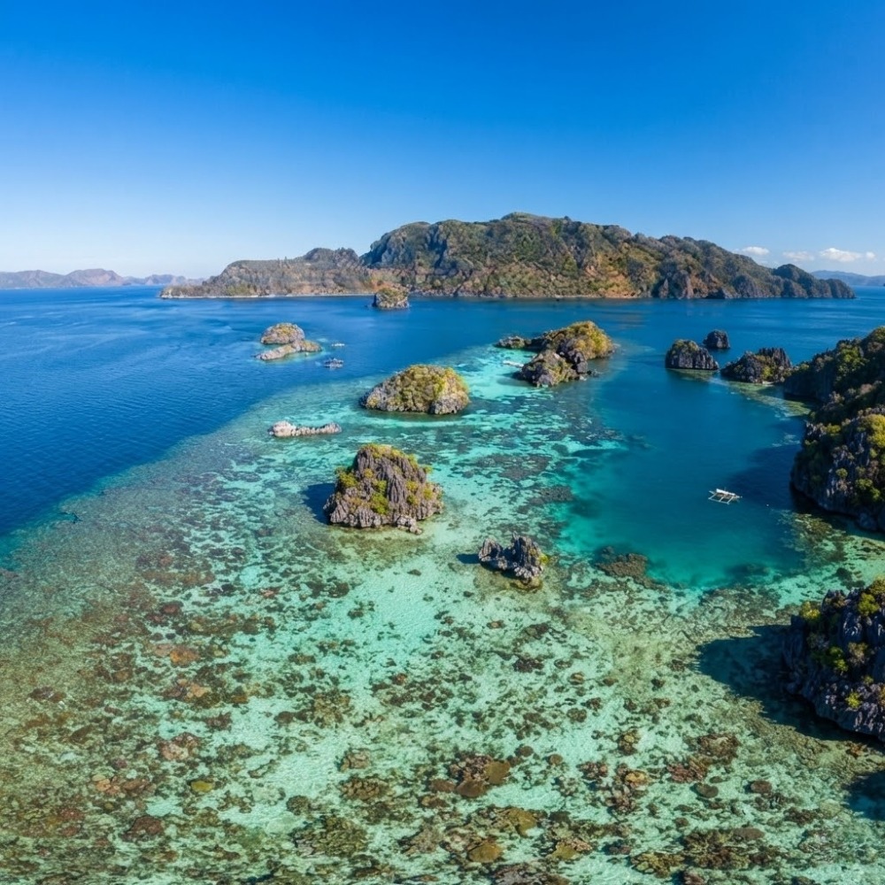 Unlocking the Most Vibrant Marine Treasure in the Philippines